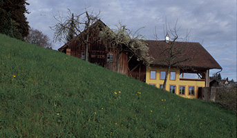 WSB Ansicht 2